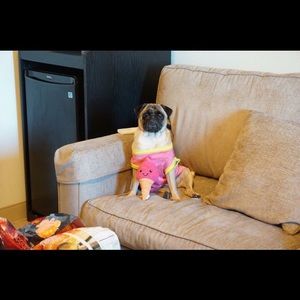 Meet your Posher, Hans